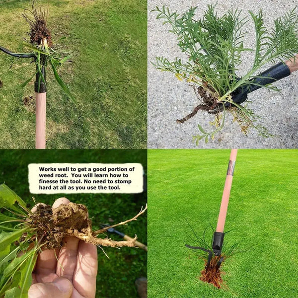 Quick-Release Weed Puller